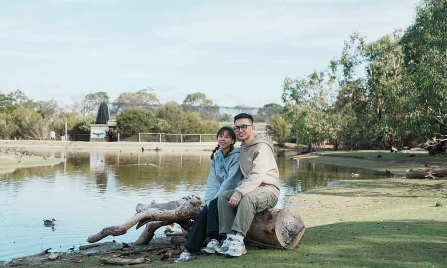 From Melbourne: Phillip Island Penguin Parade Eco Tour - Guide power, air-conditioned comfort, and how to get good results