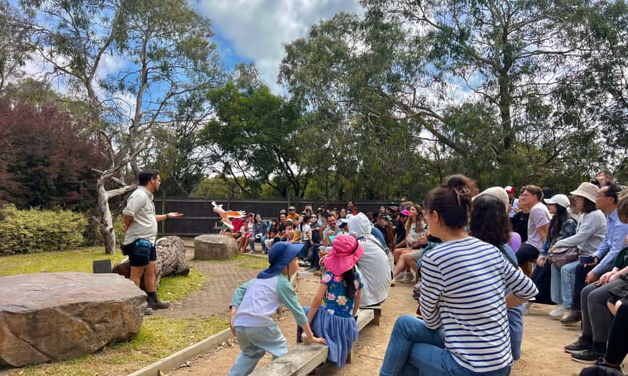 From Melbourne: Phillip Island Penguin Parade Eco Tour - Who this tour fits best, and who should skip it
