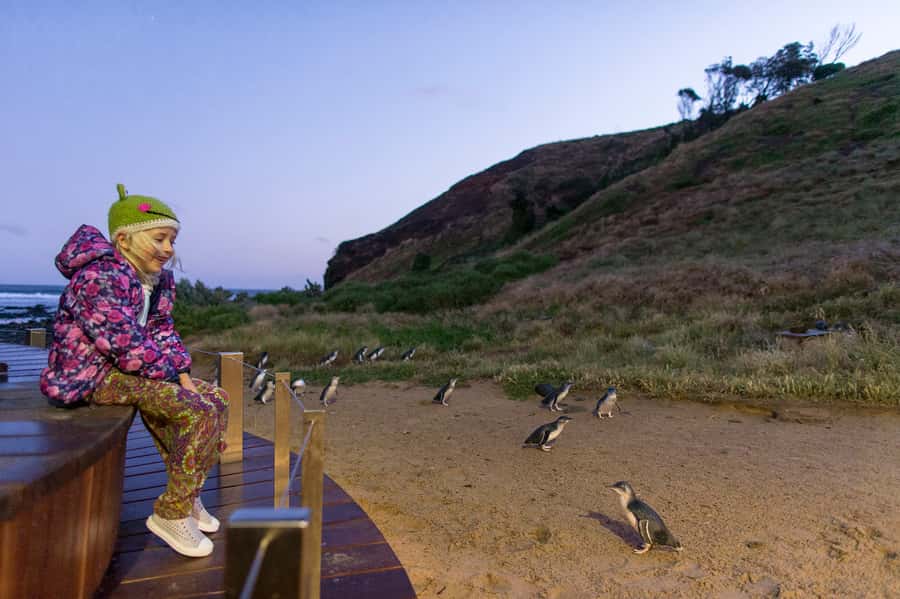 From Melbourne: Phillip Island Penguin Parade & Koalas Tour - Cowes break time: your chance to eat and regroup