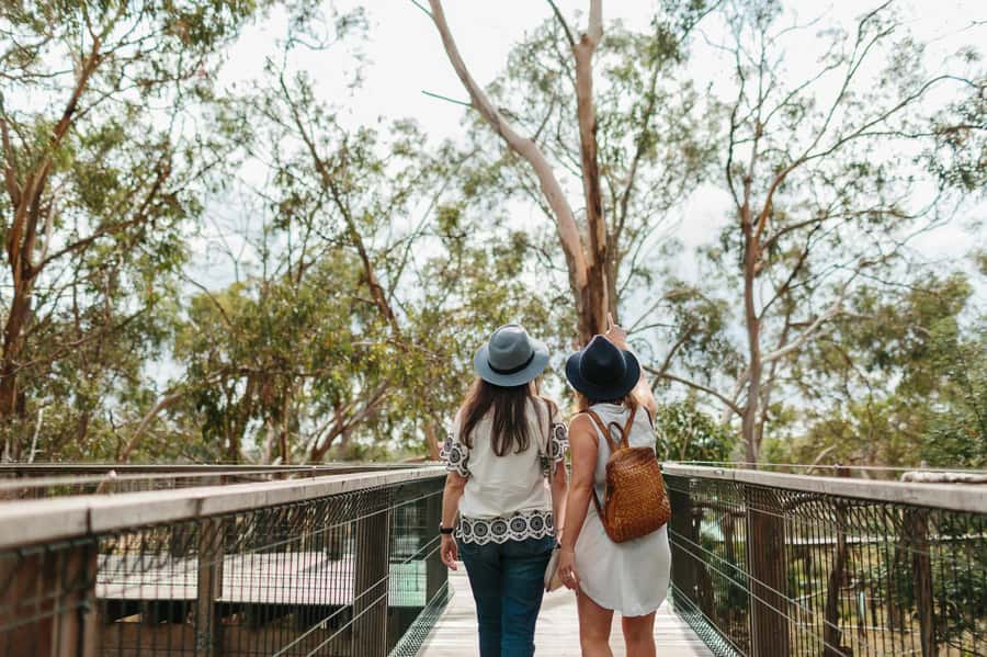 From Melbourne: Phillip Island Penguin Parade & Koalas Tour - Packing for Phillip Island: the real checklist