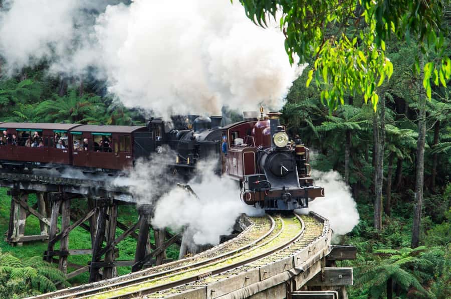 From Melbourne: Puffing Billy and Penguin Parade Combo Tour - Why Puffing Billy and the Penguin Parade Work So Well Together