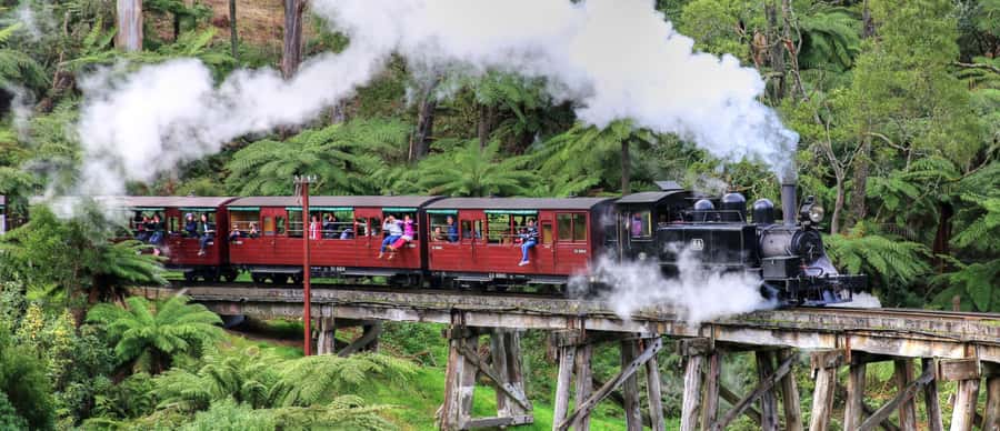 From Melbourne: Puffing Billy and Penguin Parade Combo Tour - From Hotel Windsor to the Dandenong Ranges: Your Day Starts Easy