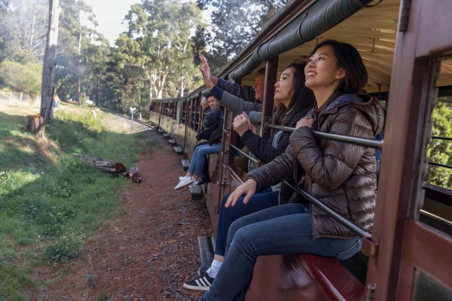 From Melbourne: Puffing Billy Train & Penguin Wildlife Tour - Key highlights