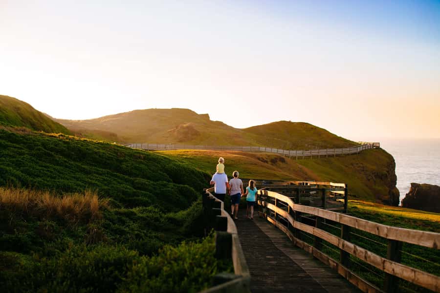 From Melbourne: Puffing Billy Train & Penguin Wildlife Tour - Penguin Parade on Phillip Island: the twilight show for little penguins