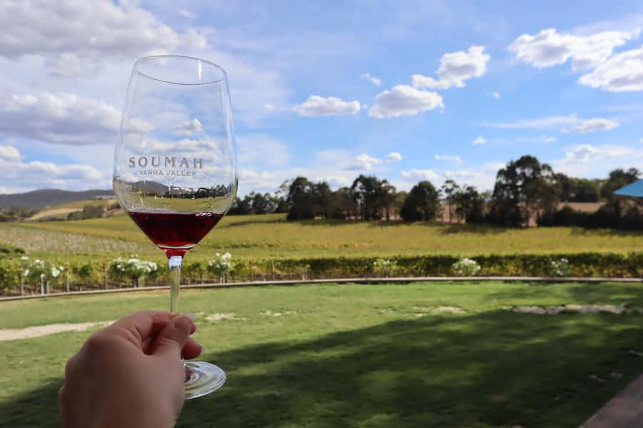 From Melbourne: Redwoods Forest & Yarra Valley Wine Tour - Soumah Wines for tasting plus an à la carte lunch with views