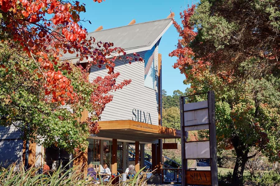 From Melbourne: Redwoods Forest & Yarra Valley Wine Tour - Who should book this tour, and who should choose something else