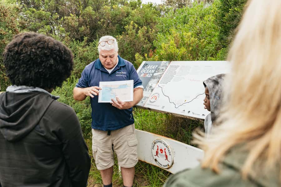From Melbourne: Small-Group Great Ocean Road Day Trip - Ancient rainforest walk: the calm change of pace