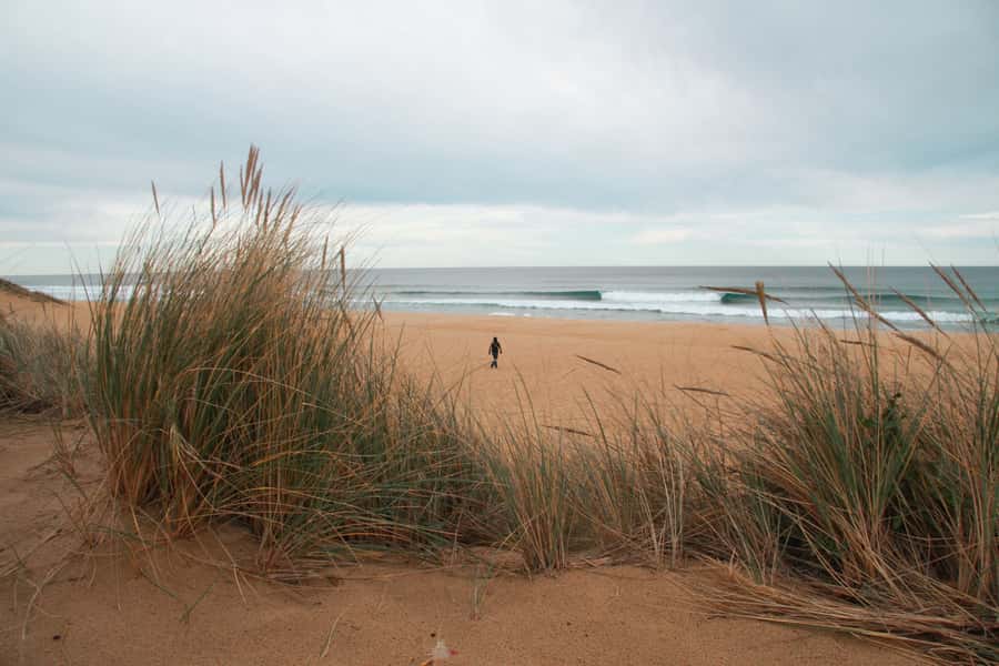 From Melbourne: Small Group Great Ocean Road Tour - Guides, Stories, and the Small-Group Difference