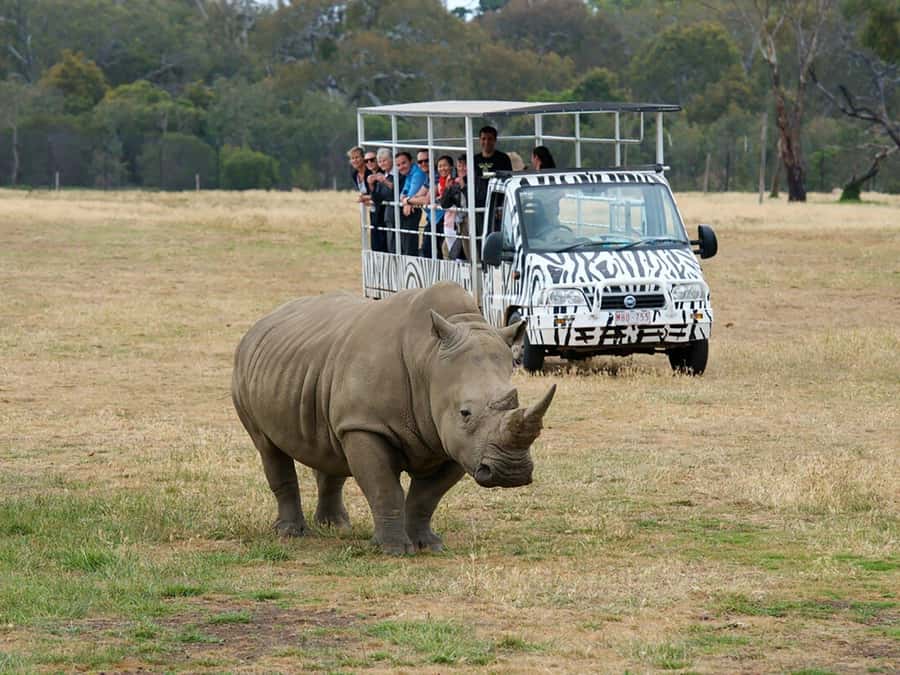 From Melbourne: Werribee Open Range Zoo & Werribee Mansion - Key Points You Should Know Before You Go