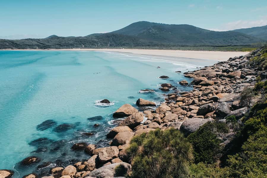 From Melbourne: Wilsons Promontory Small Group Day Tour - Key things that make this Wilsons Prom day tour worth your time
