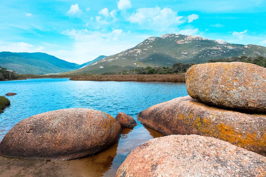 From Melbourne: Wilsons Promontory Small Group Day Tour - A 12-hour Wilsons Prom day built around dunes, summit views, and Squeaky Beach