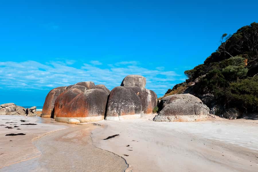 From Melbourne: Wilsons Promontory Small Group Day Tour - Mt Oberon summit hike: the 7.8 km return with big coastal payoff