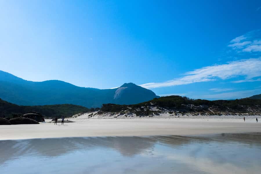 From Melbourne: Wilsons Promontory Small Group Day Tour - Squeaky Beach: white quartz sand that makes a noise under your feet