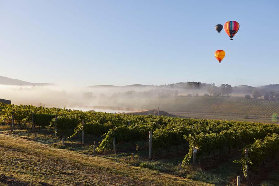 From Melbourne: Yarra Valley Hop-On-Hop-Off Bus Ticket - Why the Guide Makes (or Breaks) the Day