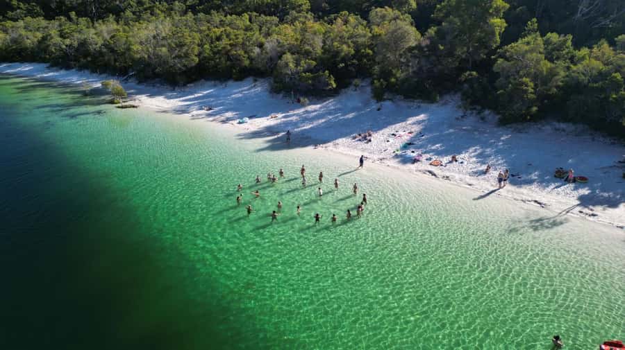 From Noosa: K'gari (Fraser Island) Small-Group Tour - SS Maheno shipwreck, history you can actually handle in a short stop