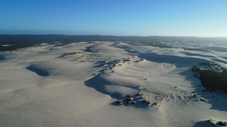 From Pemberton: Half-Day Beach and Forest Eco Adventure - Yeagarup dunes: landlocked sand and real-time views