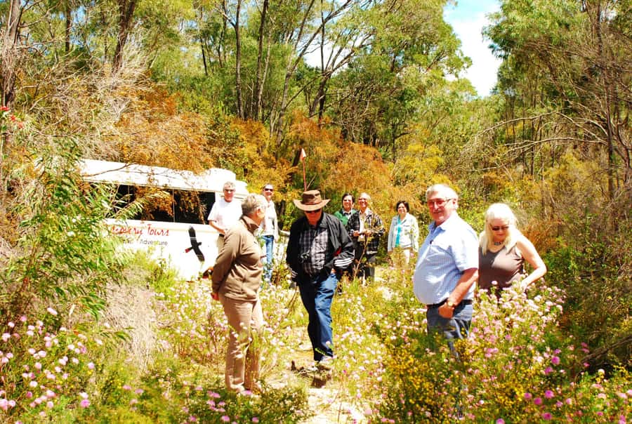 From Pemberton: Half-Day Beach and Forest Eco Adventure - History and conservation lessons that feel practical