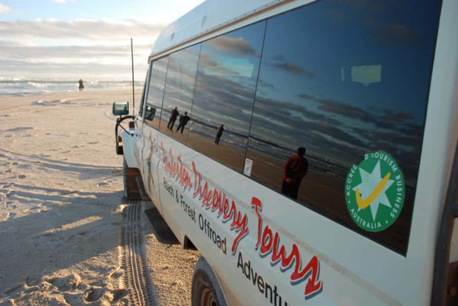 From Pemberton: Half-Day Beach and Forest Eco Adventure - Price and value for a 4.5-hour eco tour from Pemberton
