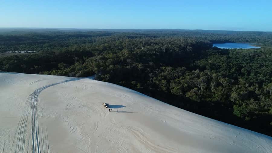From Pemberton: Half-Day Beach and Forest Eco Adventure - Warren National Park’s old growth karri forest stops