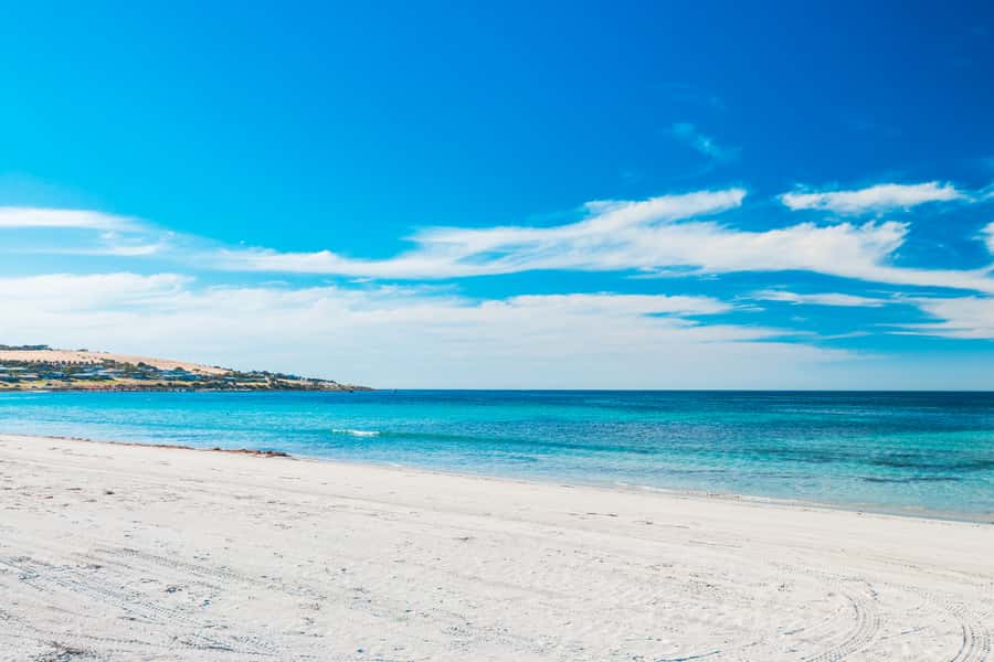 From Penneshaw: Kangaroo Island Shore Excursion Tasting Tour - Why this Penneshaw shore excursion fits cruise time so well