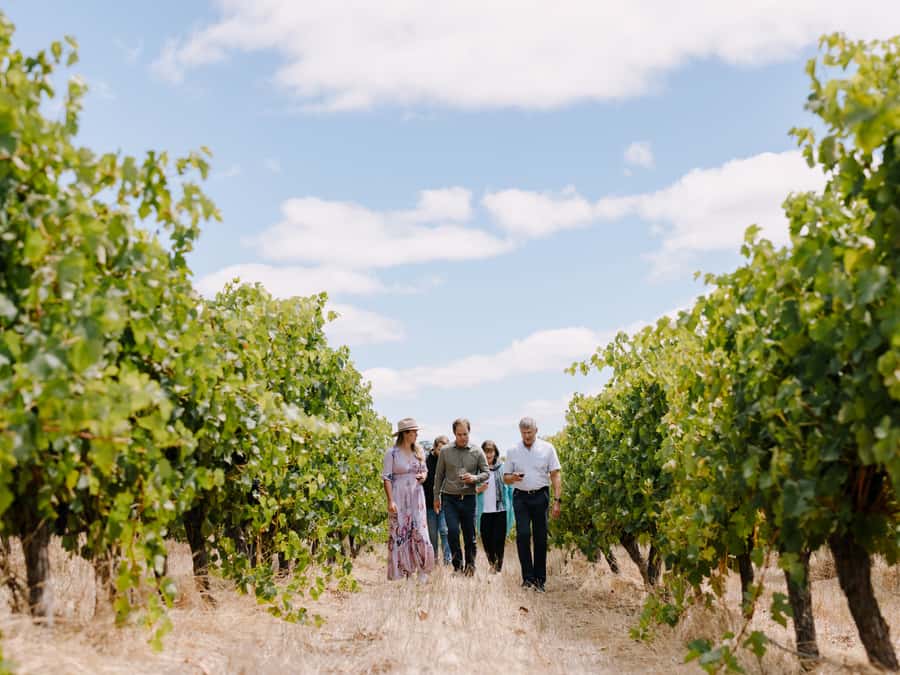 From Perth: 3-Day Margaret River Escape - The Tour Guide Experience: Live Commentary and Real Personality