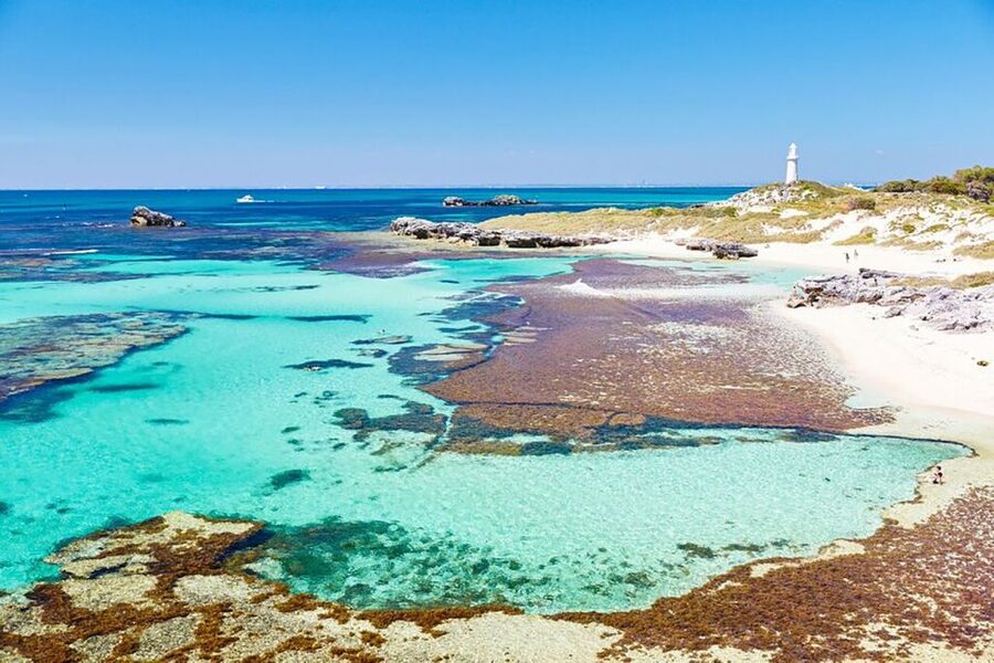 From Perth or Fremantle: Rottnest Island Ferry and Bus Tour - After the bus: where to spend your Rottnest free time
