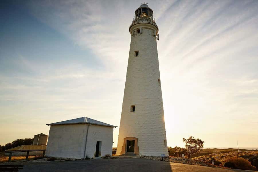 From Perth or Fremantle: Rottnest Island Ferry and Bus Tour - Food and timing on the island: what’s included, what you must bring
