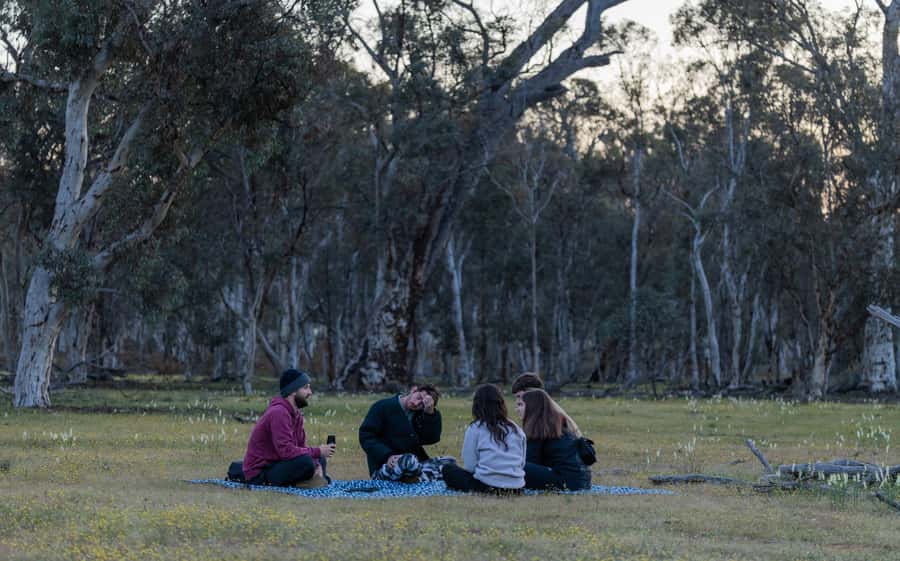 From Perth: Perth Wildlife Tour Under the Stars with Dinner - What to bring and how to handle the walking, night temps, and small rules