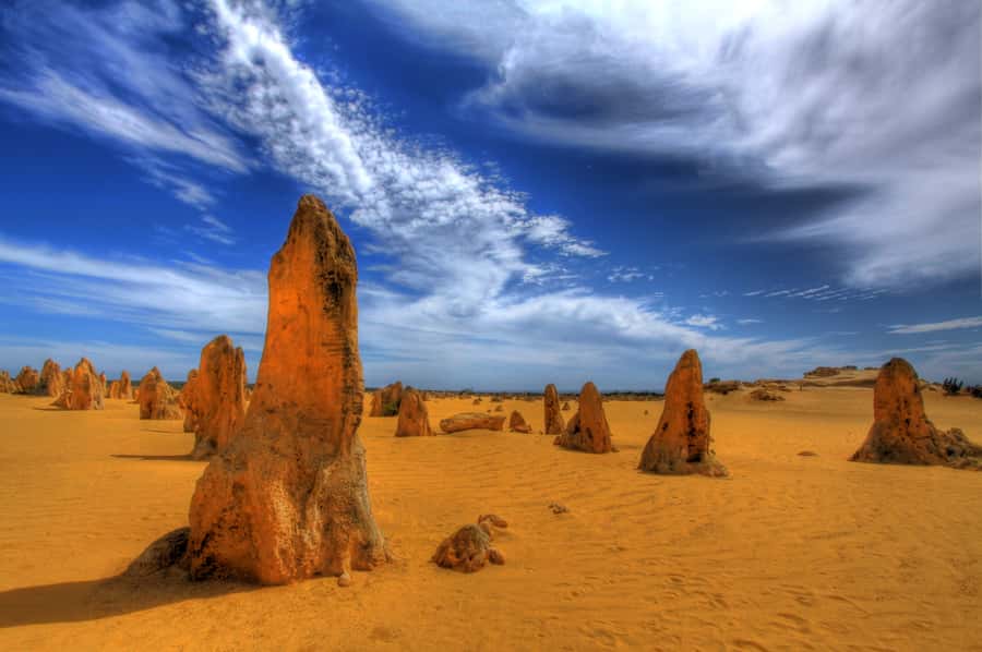 From Perth: Pinnacles Desert, Yanchep & Swan Valley Day Tour - Why This Perth Day Trip Works: Desert, Wildlife, and Swan Valley