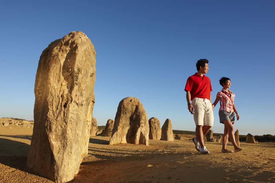 From Perth: Pinnacles Desert, Yanchep & Swan Valley Day Tour - Yanchep National Park for Koalas and Wild Kangaroos