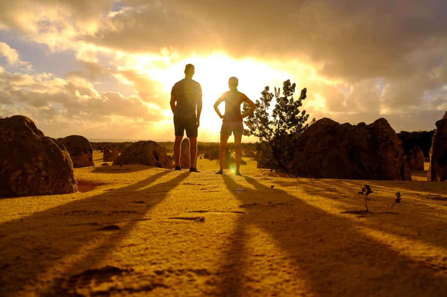 From Perth: Pinnacles Sunset and Stargazing Tour with Dinner - Price and value: what you’re paying for at $130 per person