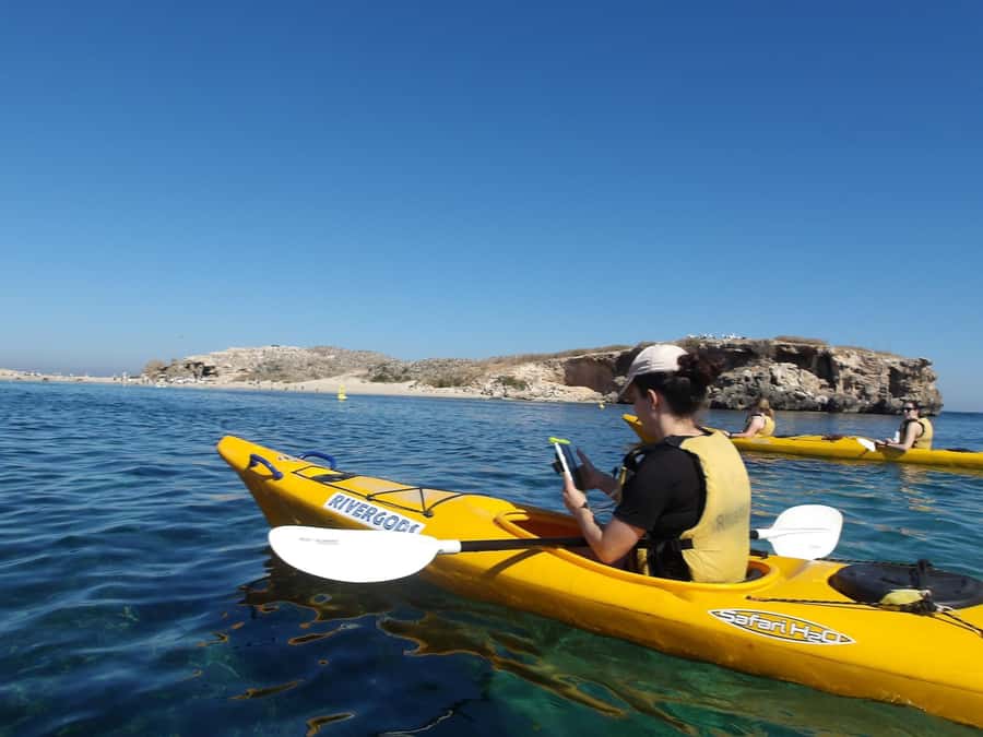 From Perth: Rockingham Seal & Penguin Islands Sea Kayak Tour - Shoalwater Bay by Sea Kayak, Seal Island to Penguin Island