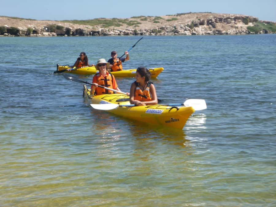 From Perth: Rockingham Seal & Penguin Islands Sea Kayak Tour - Gear and comfort: what to pack for wet feet and sunburn risk