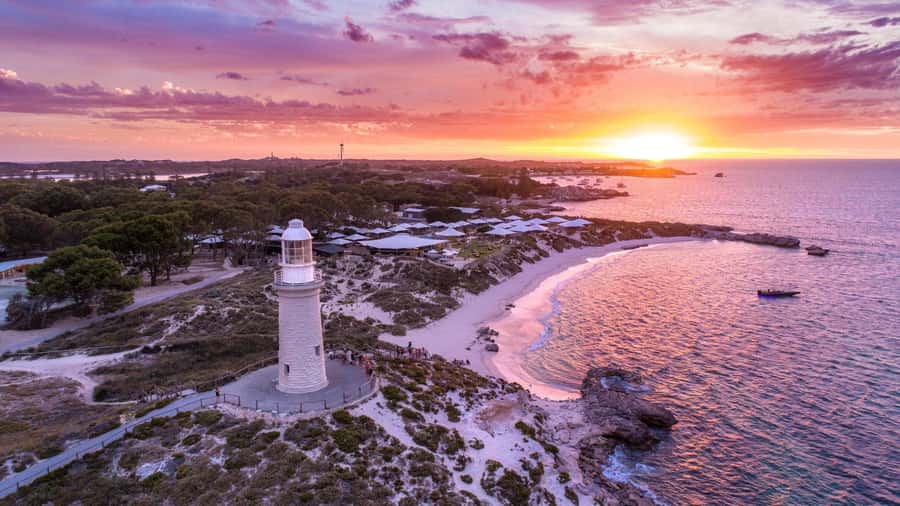 From Perth: Rottnest Island Ferry & Bus Day Tour - Key points that make this day trip feel worth it