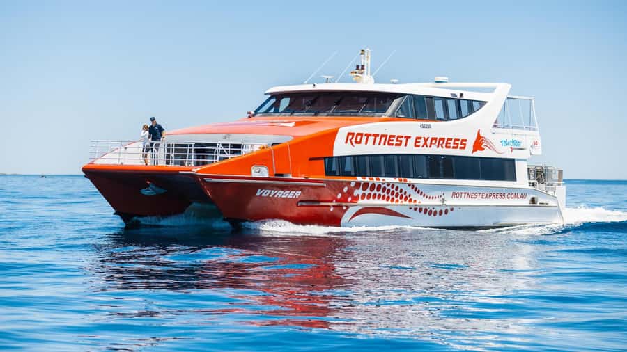 From Perth: Rottnest Island Ferry & Bus Day Tour - After the bus tour: Thomson Bay free time and what to do with it