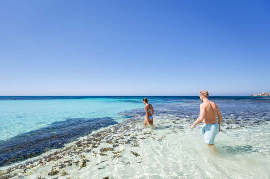 From Perth: Rottnest Island Ferry & Bus Day Tour - Heading to Rotto, how you get onto the island tour