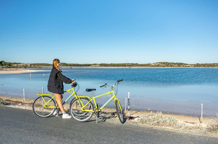 From Perth: Rottnest Island Full-Day Bike and Ferry Trip - Key things I’d bet on before you book