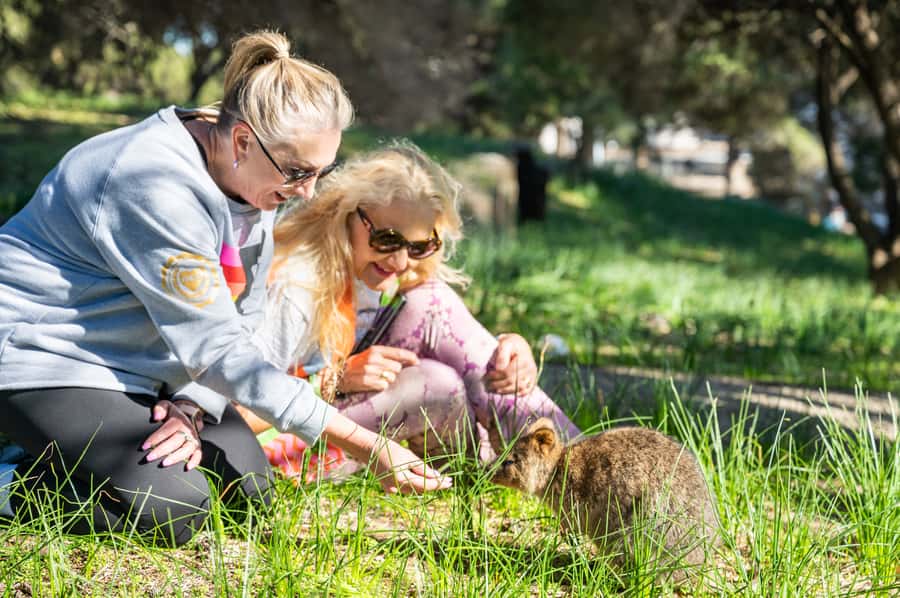From Perth: Rottnest Island Full-Day Bike and Ferry Trip - A car-free Rottnest day on a bicycle