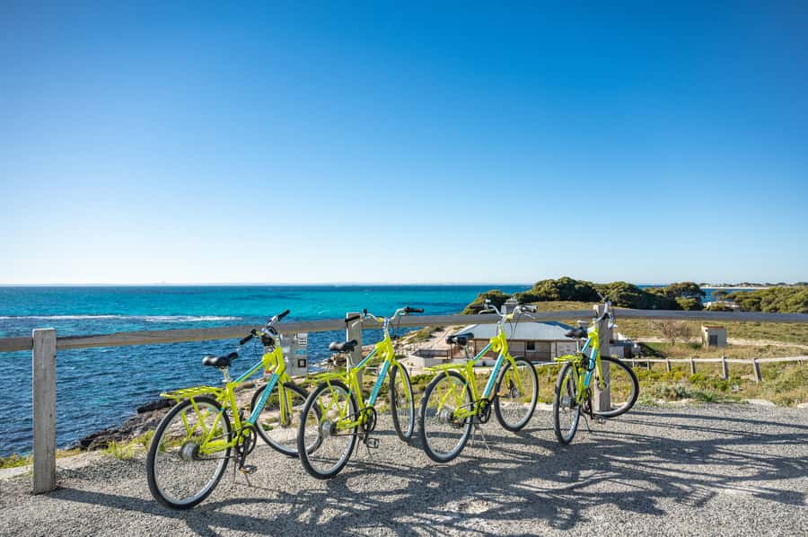 From Perth: Rottnest Island Full-Day Bike and Ferry Trip - Quokkas on tap: settlement cafés, selfies, and handling tips