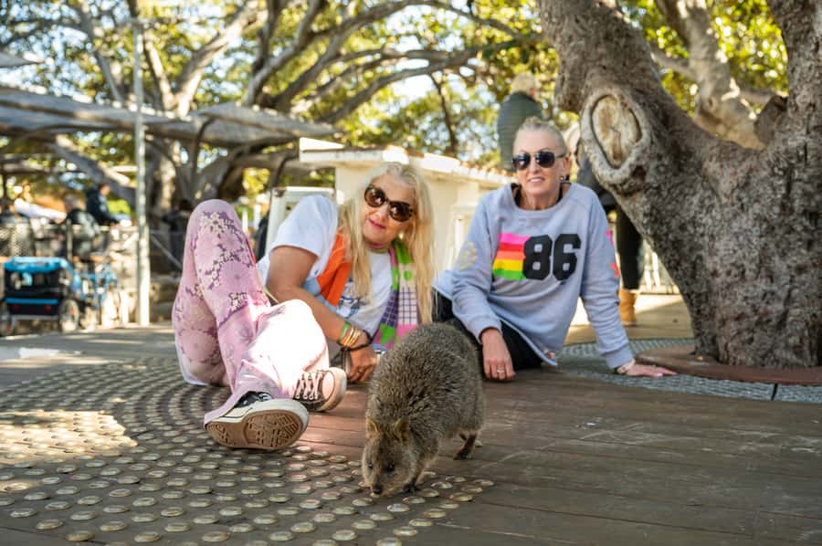 From Perth: Rottnest Island Full-Day Bike and Ferry Trip - Snorkel add-on and beach time, plus swim breaks on the way