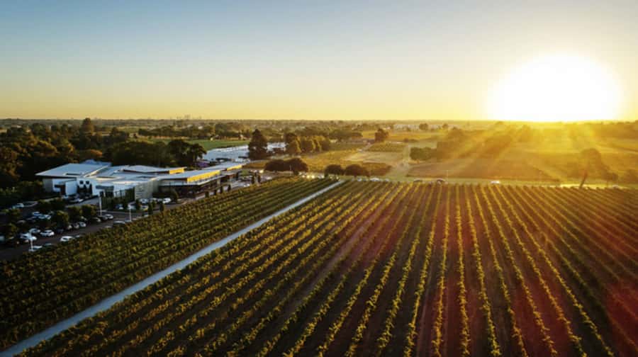From Perth: Swan Valley Cruise, Winery, Cheese & Lunch - On board: captain commentary and a guided wine tasting