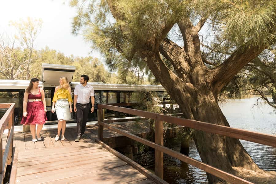 From Perth: Swan Valley Cruise, Winery, Cheese & Lunch - Return trip at 3:15 pm: afternoon tea, dessert, and extra drinks