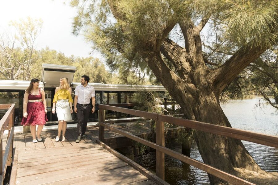 From Perth: Swan Valley Cruise, Winery, Cheese & Lunch - Who this tour suits best (and who should rethink it)