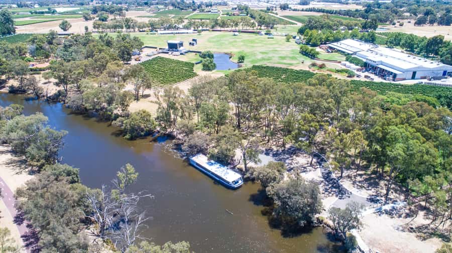 From Perth: Swan Valley Cruise, Winery, Cheese & Lunch - Practical tips so your day feels effortless