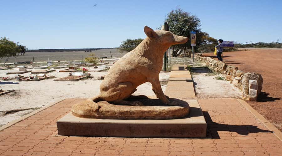 From Perth: Wave Rock, York and Aboriginal Cultural Tour - The Perth to wheatbelt drive that makes the day feel like more than a “transfer”