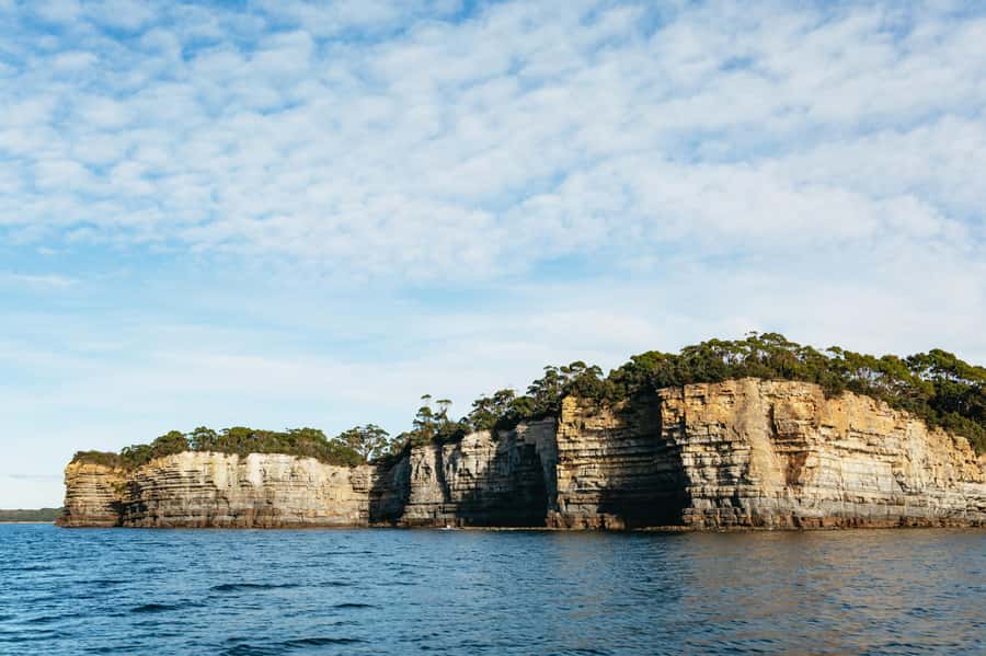 From Port Arthur: Tasman Island Wilderness Cruise - Should you book the Tasman Island Wilderness Cruise from Port Arthur?
