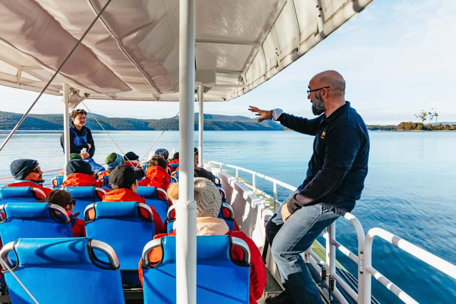 From Port Arthur: Tasman Island Wilderness Cruise - Wildlife on the Tasman National Park coast: seals, seabirds, dolphins, and whales