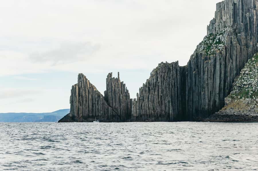 From Port Arthur: Tasman Island Wilderness Cruise - The 3 hours in real life: spray, cold air, and a fast boat rhythm