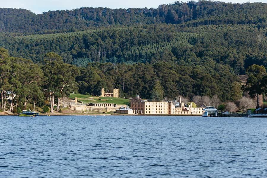 From Port Arthur: Tasman Island Wilderness Cruise - $127 for a Port Arthur to Eaglehawk Neck wildlife and geology hit