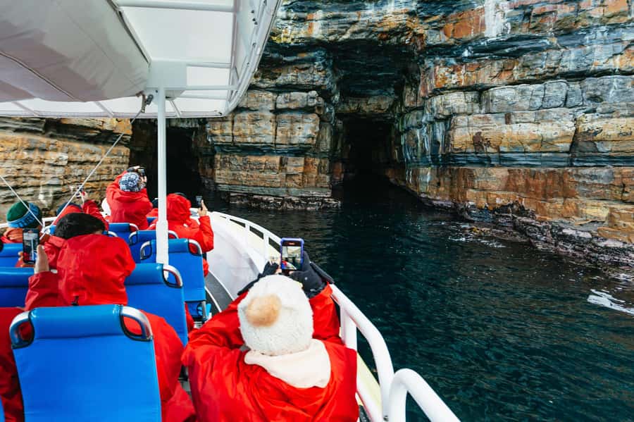 From Port Arthur: Tasman Island Wilderness Cruise - Deep sea caves, archways, waterfalls, and blowholes you can actually see